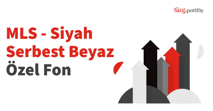 Siyah Beyaz Serbest Özel Fon (MLS)